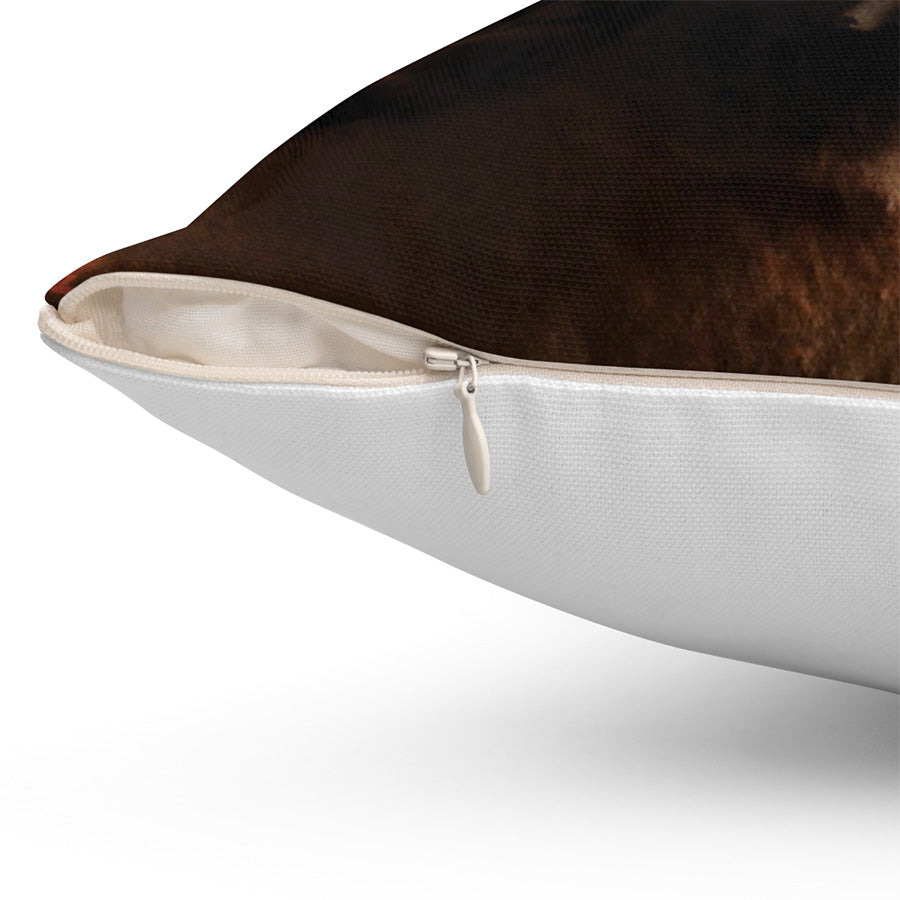 Apollo & Two Faced Janus Throw Pillow, 16x16, One Sided