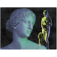 Capitoline Venus 60x80  Fleece Blanket