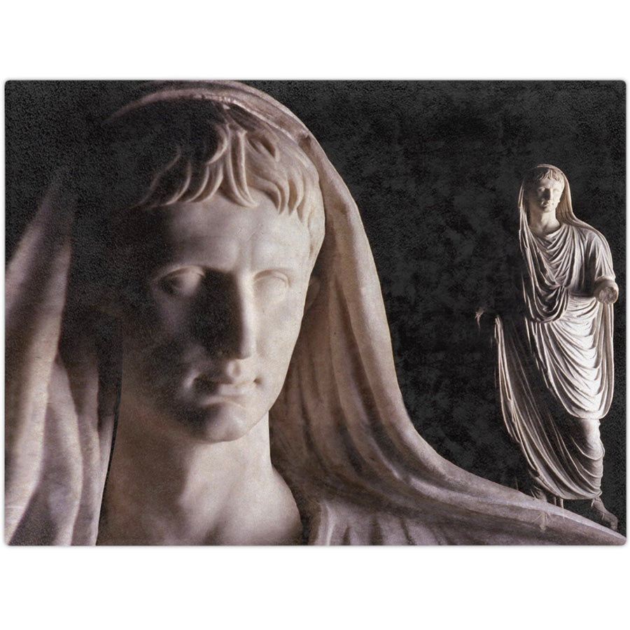 Divinized Augustus Luxury Blanket - Imperial Leadership Comfort