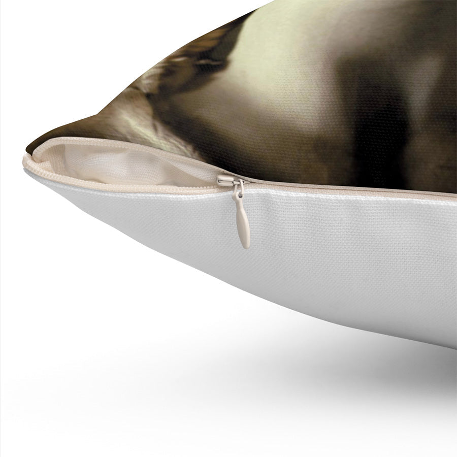Minerva & Athena Throw Pillow, 16x16, One Sided