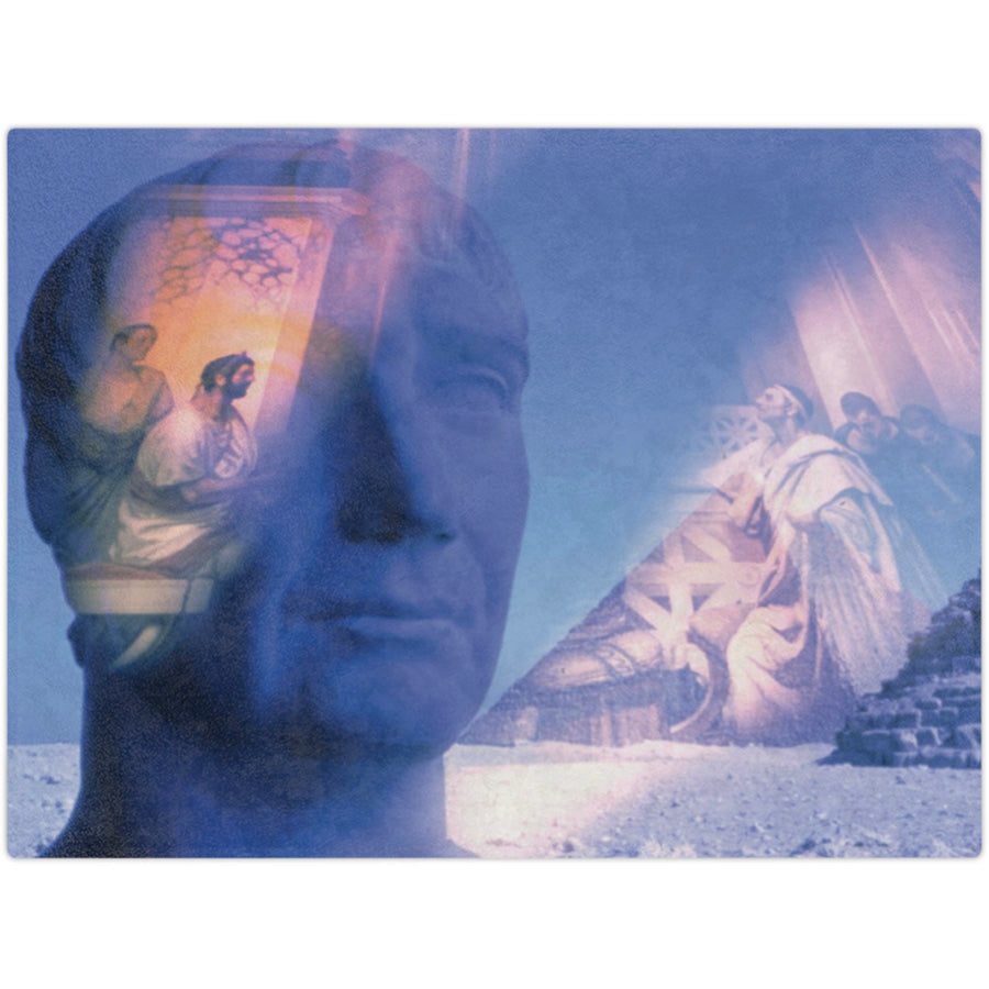 Perpetual Edict 60x80 Fleece Blanket