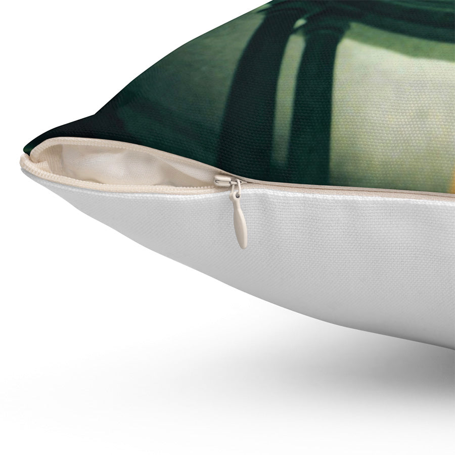 Romulus Deified As Quirino Throw Pillow, 16x16. One Sided