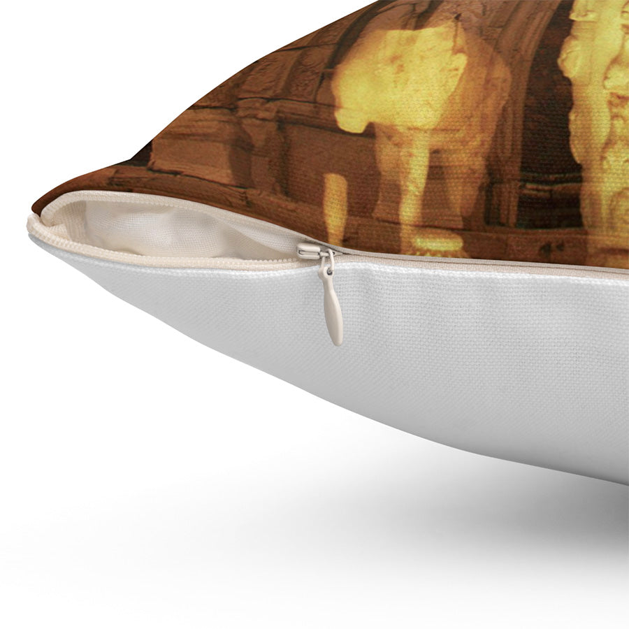 The Celsius Library Throw Pillow, 16x16, One Sided