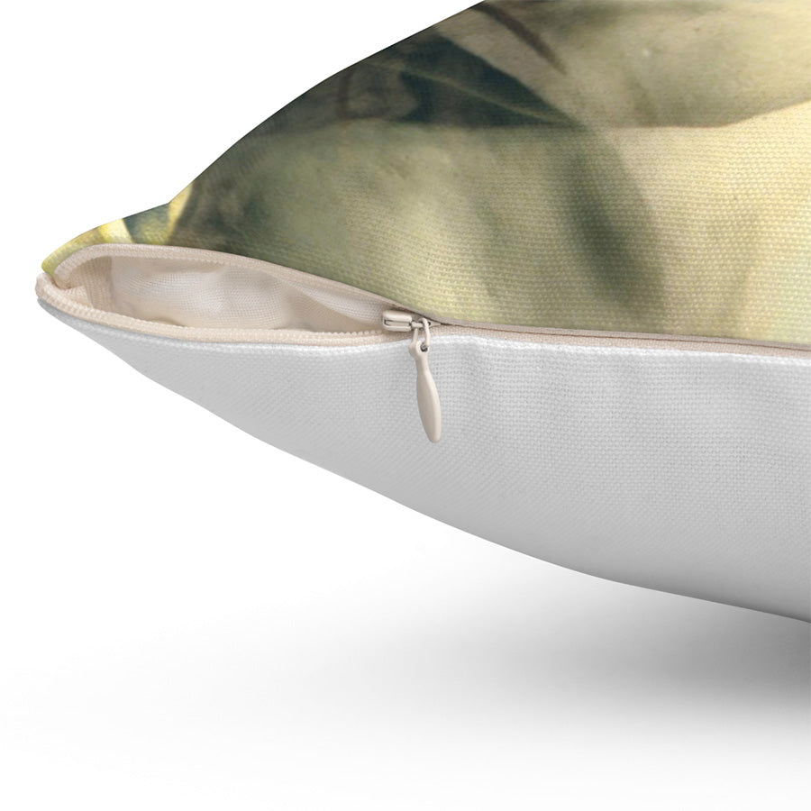 The Regency Of Claudio Throw Pillow, 16x16, One Sided