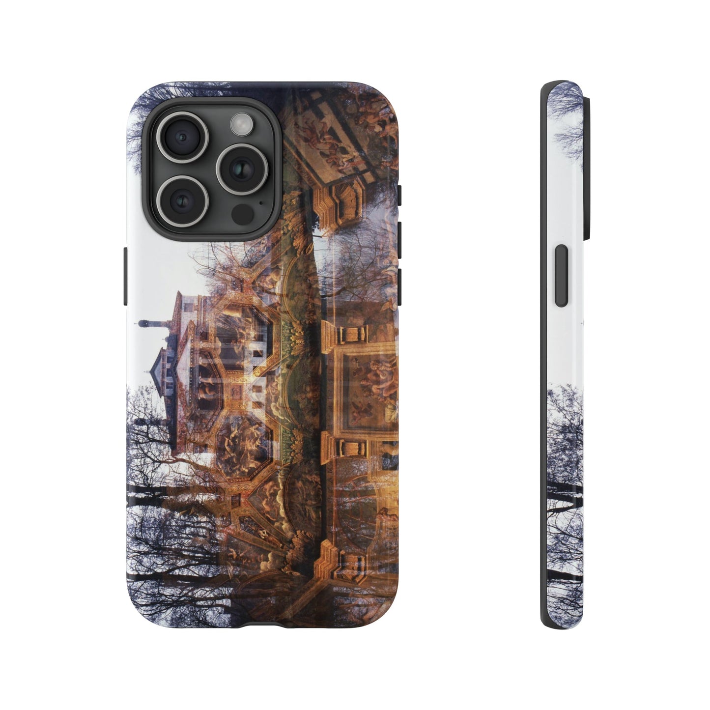 The Villa Malcontenta Phone Cases