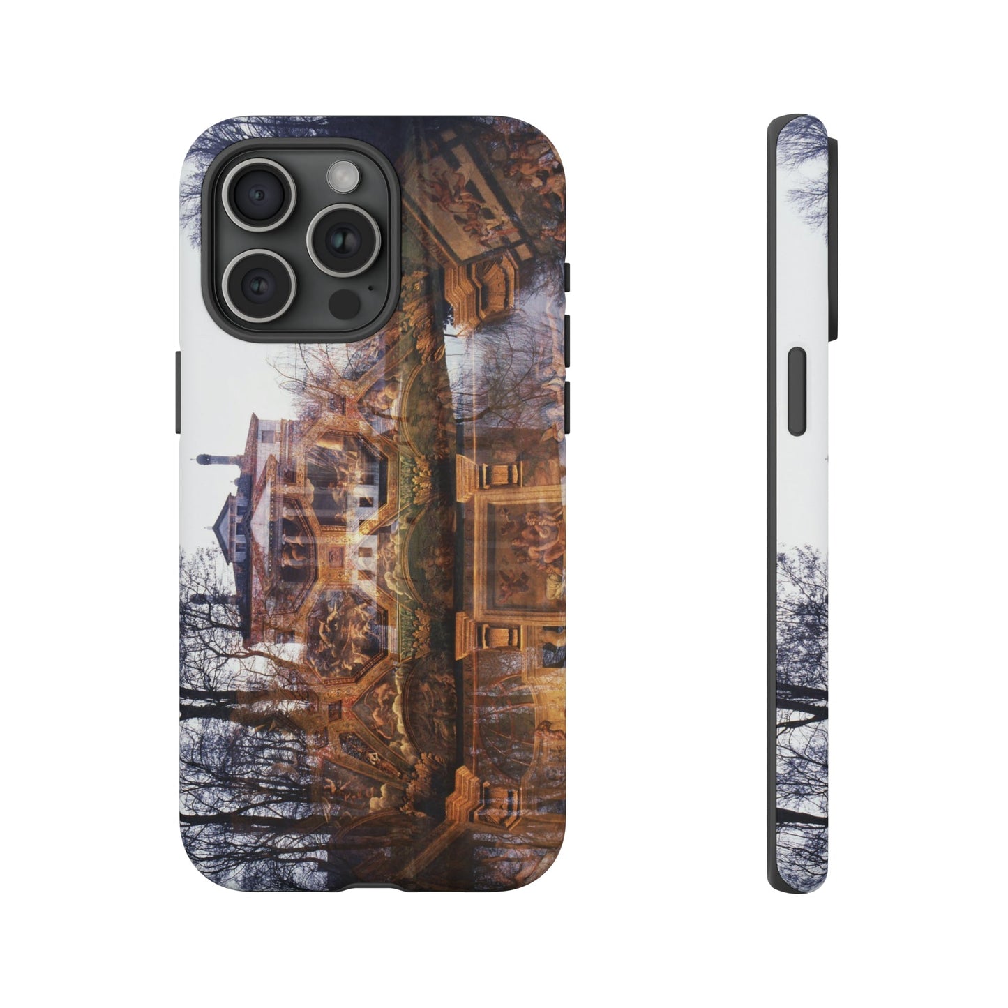 The Villa Malcontenta Phone Cases