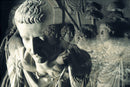 The Solitude of Tiberius Canvas Print