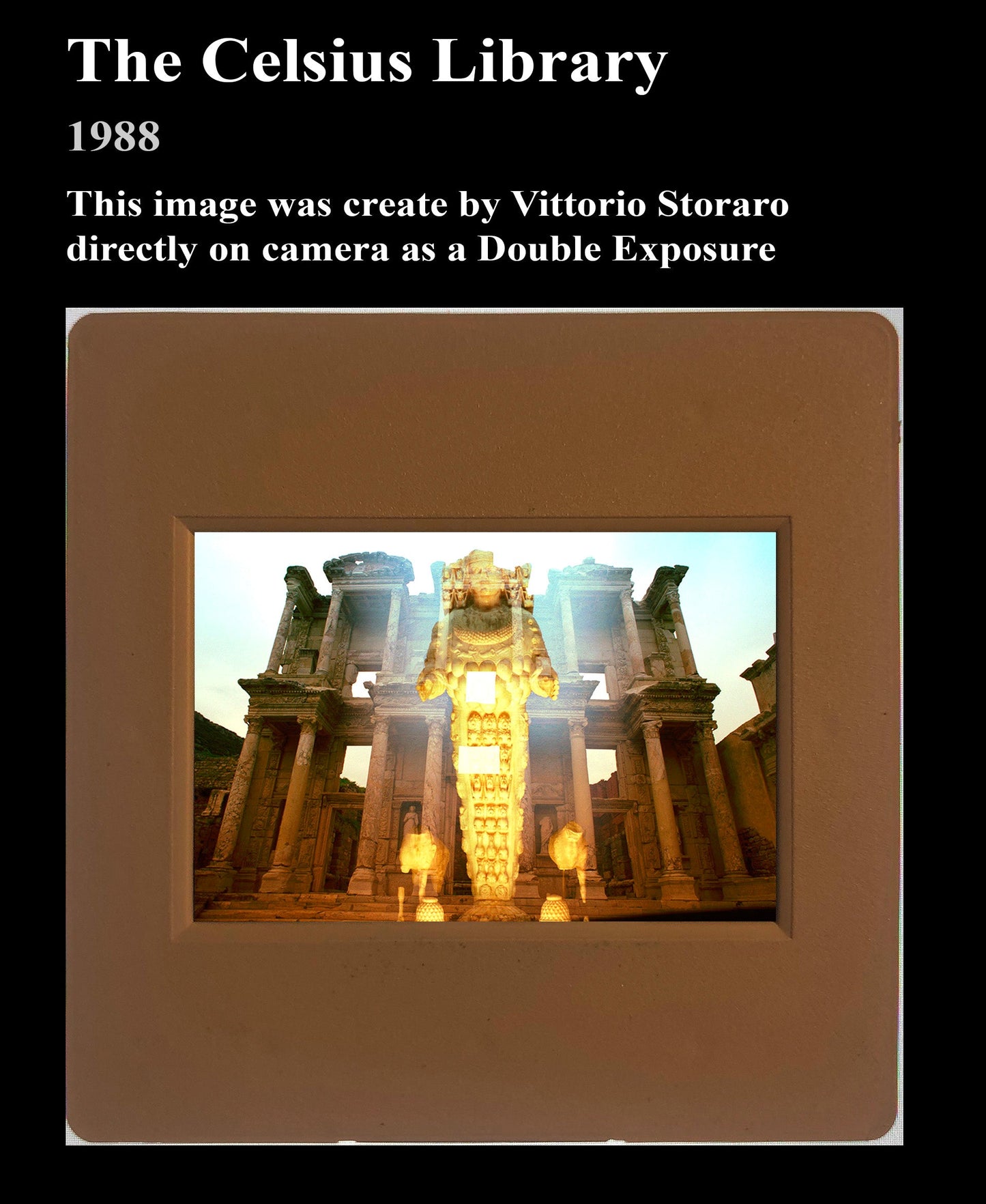The Celsius Library Photo Print