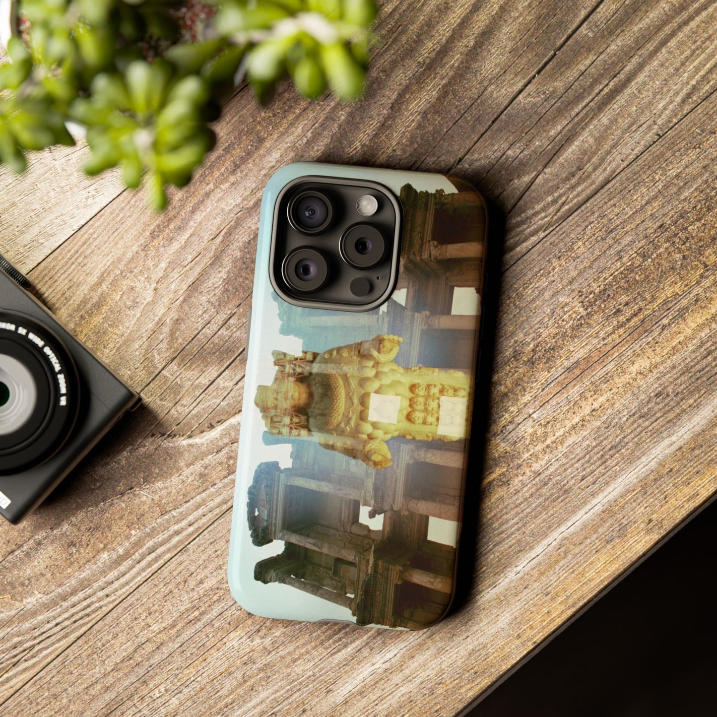The Celsius Library Phone Cases