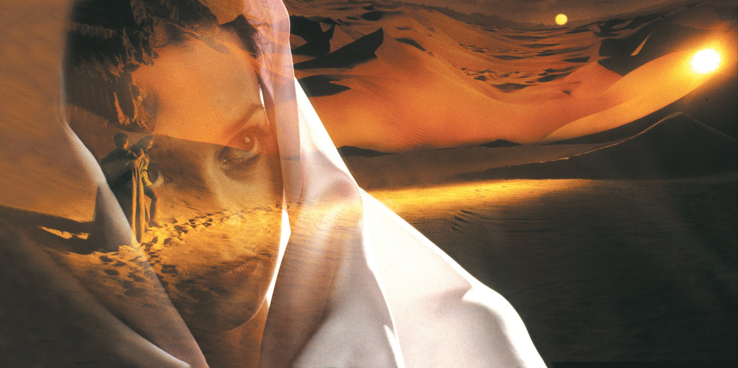 STORARO - WRITING WITH LIGHT - LE MUSE