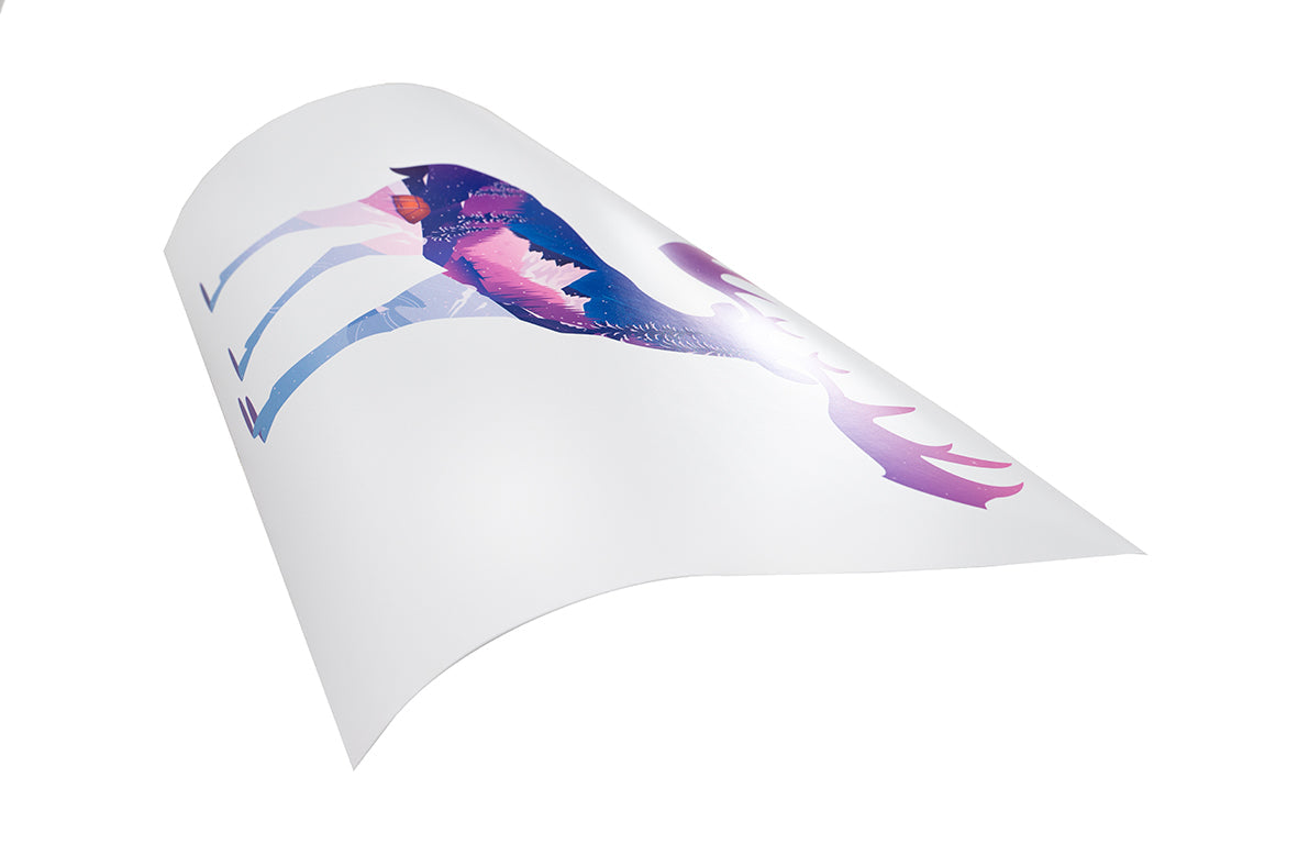 Settimio Severo & His Laurel Wreath Photo Print