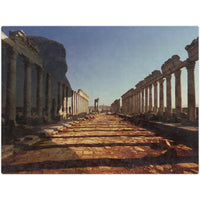 Traiano In The Colonnade Of Apamea 60x80 Fleece Blanket