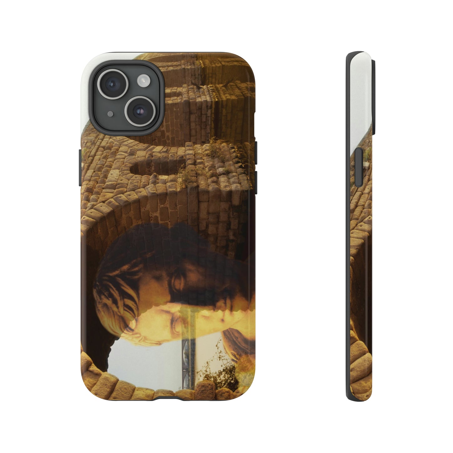 Julius Caesar and the france bridge  Phone Cases