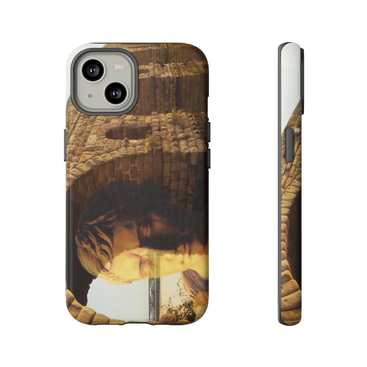 Julius Caesar and the france bridge  Phone Cases