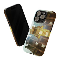 The Celsius Library Phone Cases