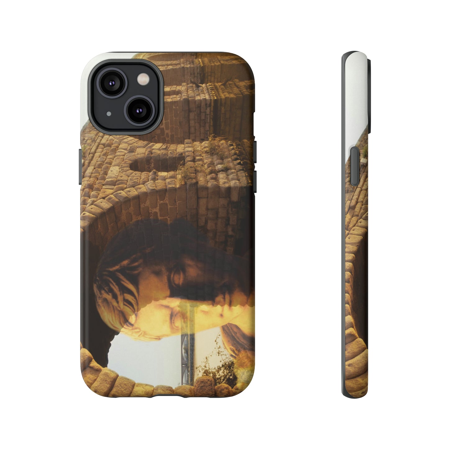 Julius Caesar and the france bridge  Phone Cases