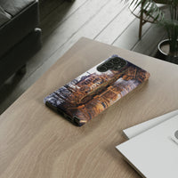 The Villa Malcontenta Phone Cases