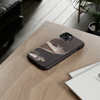 Divinized Augustus Phone Cases