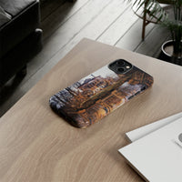 The Villa Malcontenta Phone Cases