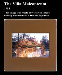 The Villa Malcontenta Phone Cases