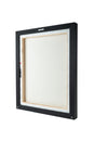 Divinized Augustus Canvas Print