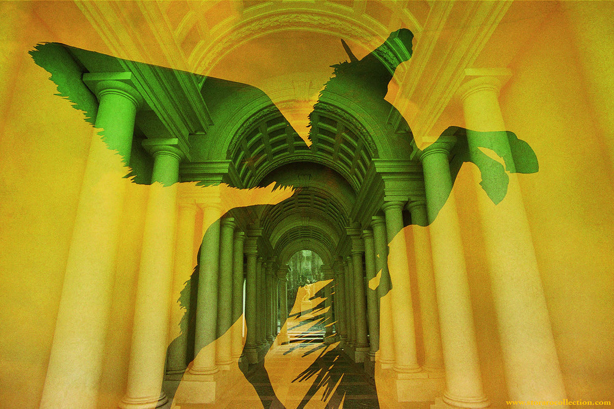 Pegasus Photo Print